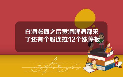 白酒涨疯之后黄酒啤酒都来了还有个股连拉12个涨停板