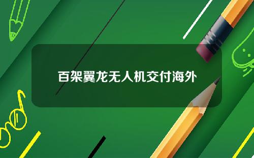百架翼龙无人机交付海外