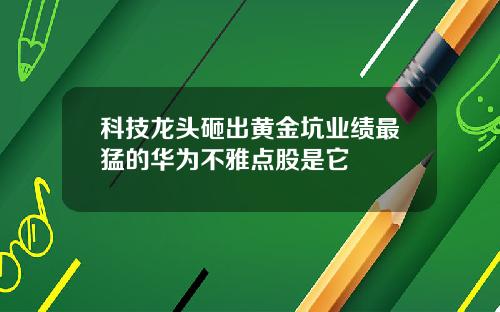 科技龙头砸出黄金坑业绩最猛的华为不雅点股是它