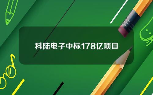科陆电子中标178亿项目