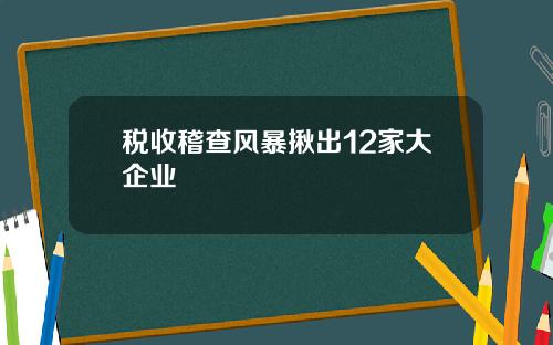 税收稽查风暴揪出12家大企业