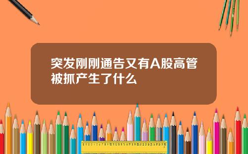 突发刚刚通告又有A股高管被抓产生了什么