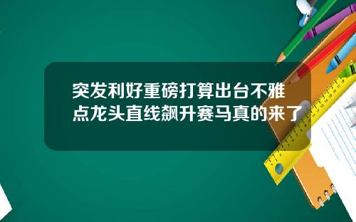 突发利好重磅打算出台不雅点龙头直线飙升赛马真的来了