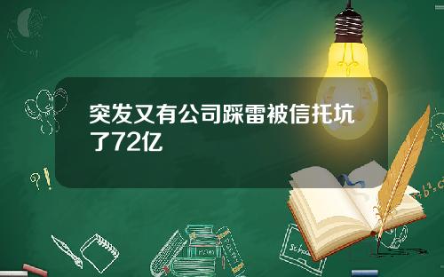 突发又有公司踩雷被信托坑了72亿