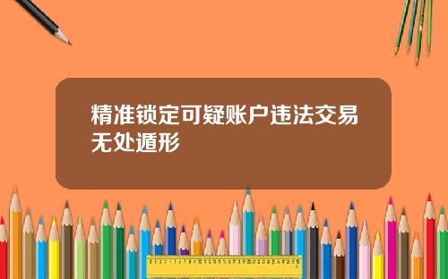 精准锁定可疑账户违法交易无处遁形