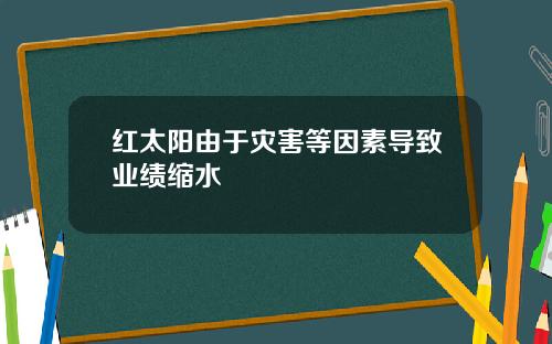 红太阳由于灾害等因素导致业绩缩水