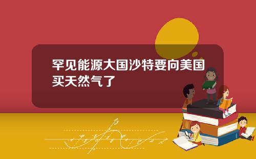 罕见能源大国沙特要向美国买天然气了