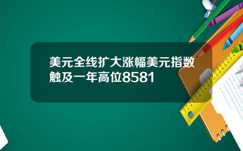 美元全线扩大涨幅美元指数触及一年高位8581