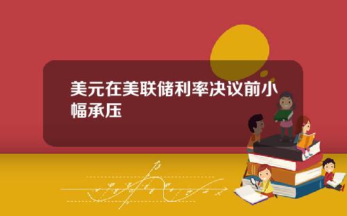 美元在美联储利率决议前小幅承压