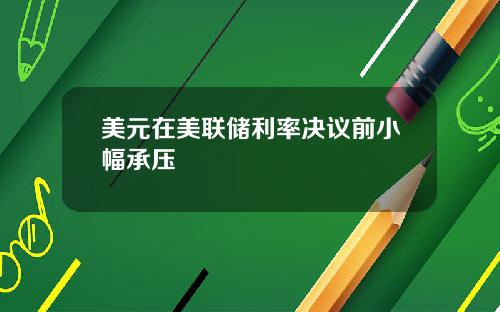 美元在美联储利率决议前小幅承压