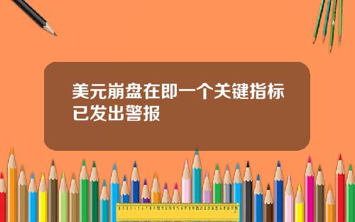 美元崩盘在即一个关键指标已发出警报