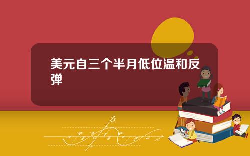 美元自三个半月低位温和反弹
