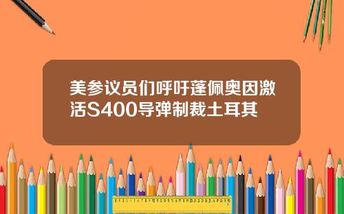 美参议员们呼吁蓬佩奥因激活S400导弹制裁土耳其