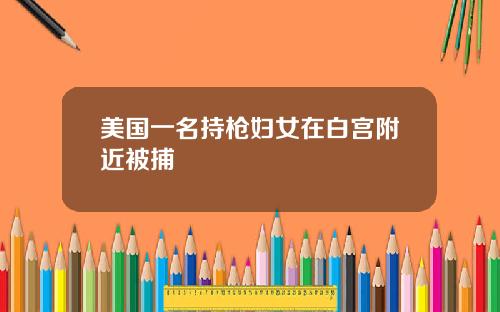 美国一名持枪妇女在白宫附近被捕