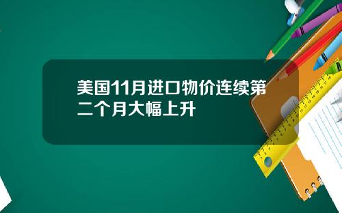美国11月进口物价连续第二个月大幅上升