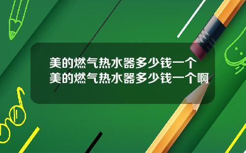 美的燃气热水器多少钱一个美的燃气热水器多少钱一个啊