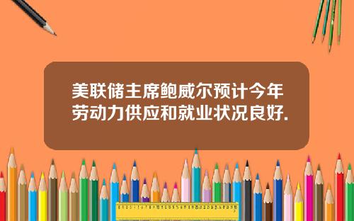 美联储主席鲍威尔预计今年劳动力供应和就业状况良好.