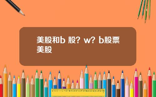 美股和b 股？w？b股票美股