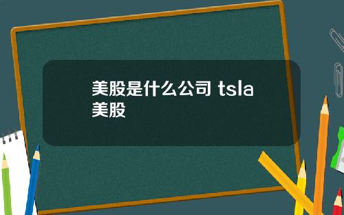 美股是什么公司 tsla美股