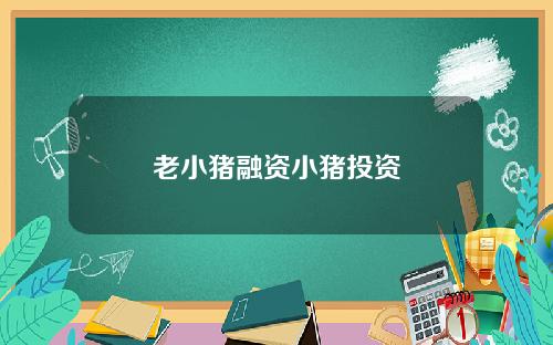 老小猪融资小猪投资