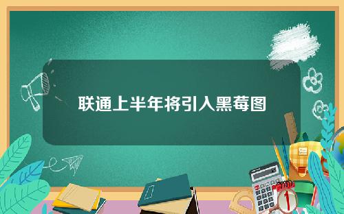 联通上半年将引入黑莓图