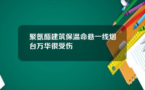 聚氨酯建筑保温命悬一线烟台万华很受伤