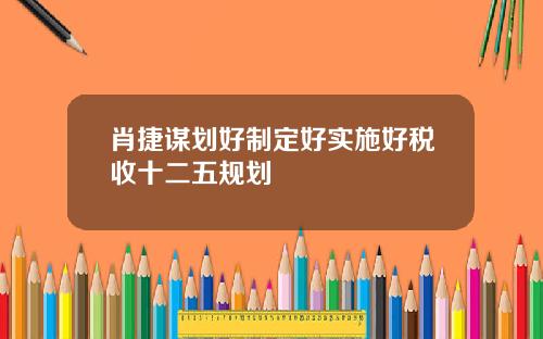 肖捷谋划好制定好实施好税收十二五规划
