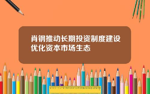 肖钢推动长期投资制度建设优化资本市场生态