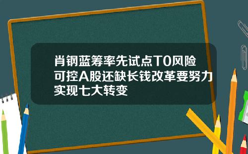 肖钢蓝筹率先试点T0风险可控A股还缺长钱改革要努力实现七大转变
