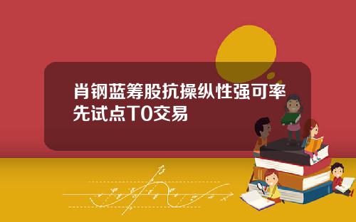 肖钢蓝筹股抗操纵性强可率先试点T0交易