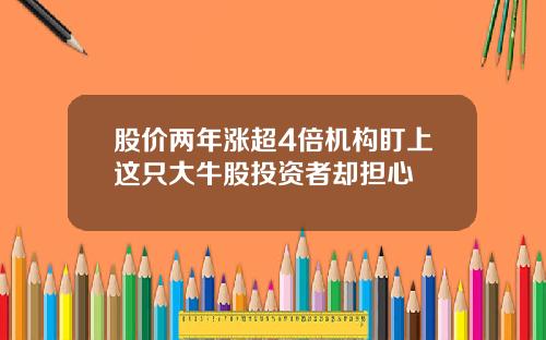 股价两年涨超4倍机构盯上这只大牛股投资者却担心