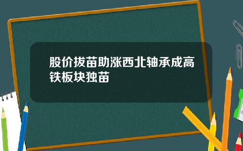 股价拔苗助涨西北轴承成高铁板块独苗