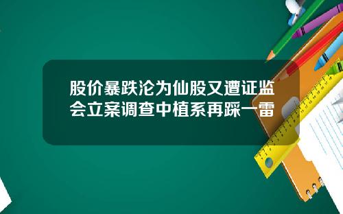 股价暴跌沦为仙股又遭证监会立案调查中植系再踩一雷