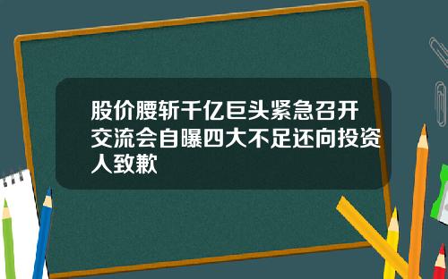 股价腰斩千亿巨头紧急召开交流会自曝四大不足还向投资人致歉