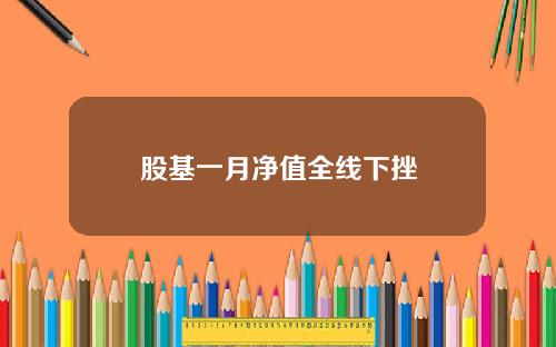 股基一月净值全线下挫