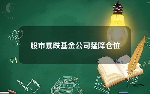 股市暴跌基金公司猛降仓位