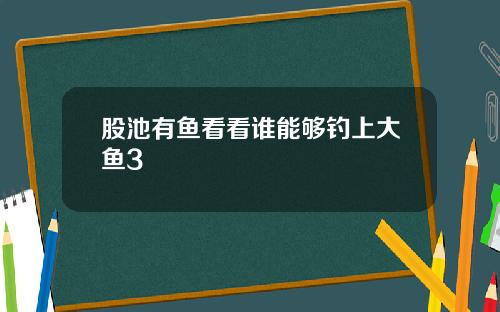 股池有鱼看看谁能够钓上大鱼3