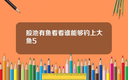 股池有鱼看看谁能够钓上大鱼5