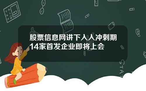 股票信息网讲下入入冲刺期14家首发企业即将上会