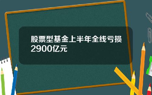 股票型基金上半年全线亏损2900亿元