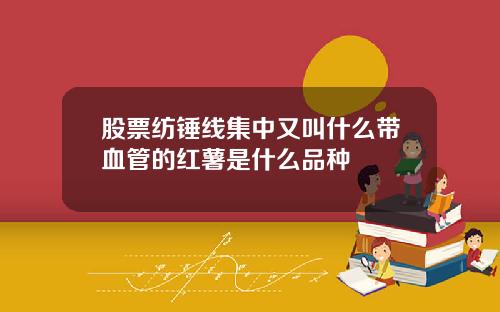 股票纺锤线集中又叫什么带血管的红薯是什么品种