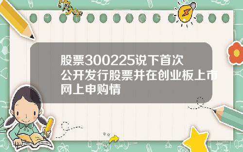 股票300225说下首次公开发行股票并在创业板上市网上申购情