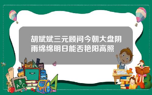 胡斌斌三元顾问今朝大盘阴雨绵绵明日能否艳阳高照