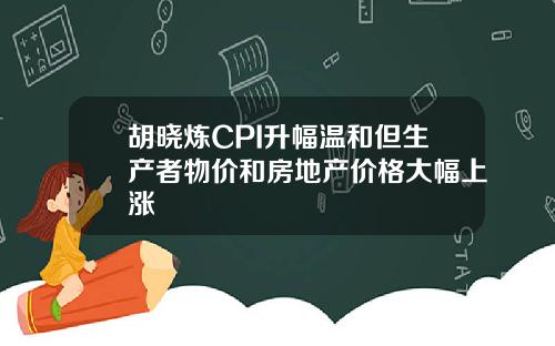 胡晓炼CPI升幅温和但生产者物价和房地产价格大幅上涨
