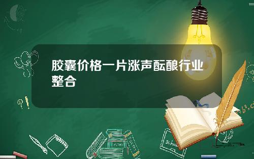 胶囊价格一片涨声酝酿行业整合