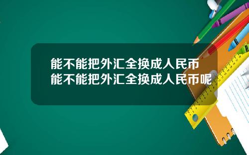能不能把外汇全换成人民币能不能把外汇全换成人民币呢