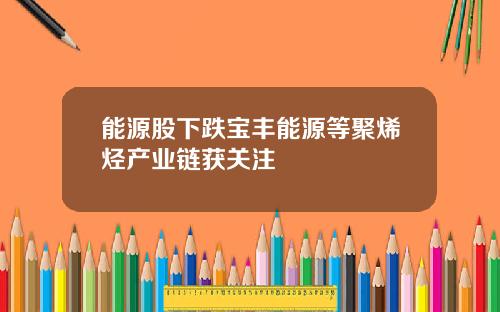 能源股下跌宝丰能源等聚烯烃产业链获关注