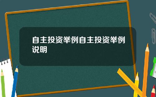 自主投资举例自主投资举例说明
