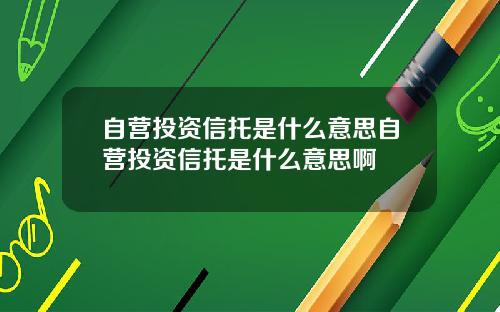 自营投资信托是什么意思自营投资信托是什么意思啊