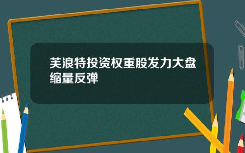 芙浪特投资权重股发力大盘缩量反弹